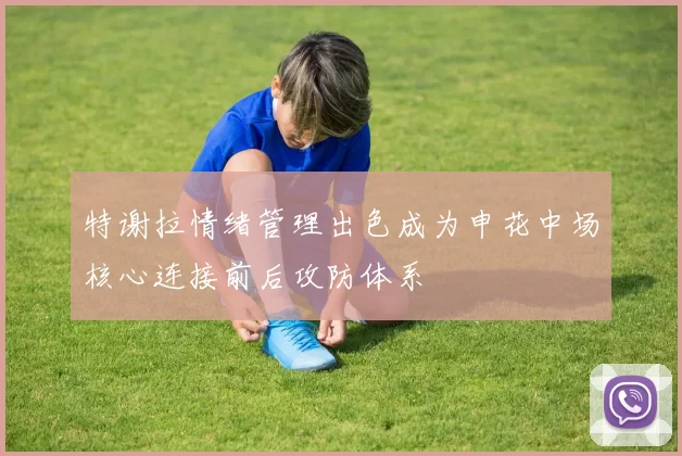 特谢拉情绪管理出色成为申花中场核心连接前后攻防体系